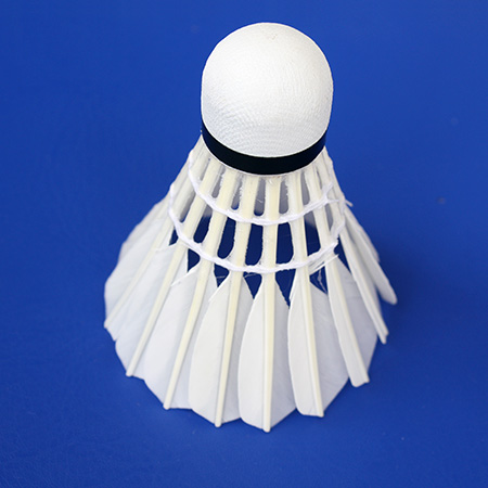 Quả cầu lông lẻ