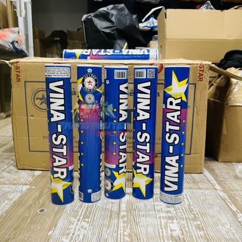 Quả Cầu Lông Vina-Star Hộp Xanh 12 Quả Loại 1