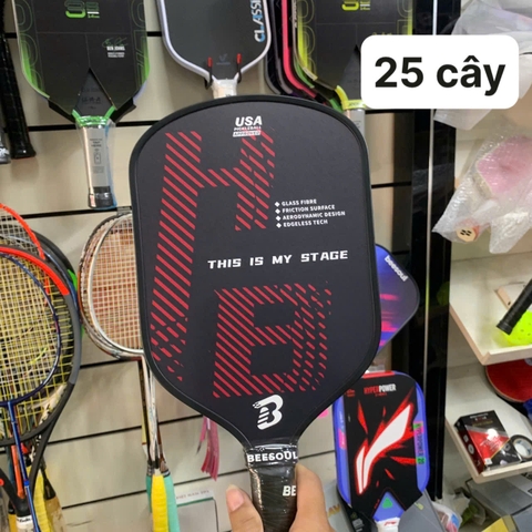 Vợt Picleball Beesoul 790