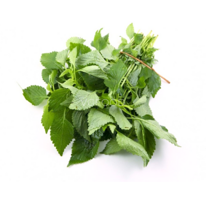 Rau kinh giới