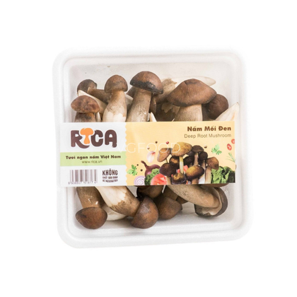 Nấm Mối Đen Rica