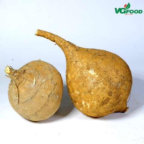 Củ sắn (300g-500g)