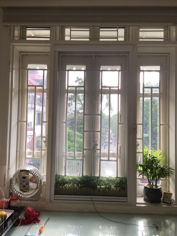 Cửa Lưới Chống Muỗi Dạng Cuốn Màu Vân Gỗ