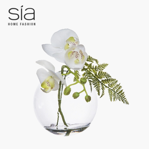 Hoa lan trắng nhân tạo - lọ thủy tinh