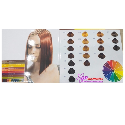 Thuốc nhuộm tóc Everflor 100ml