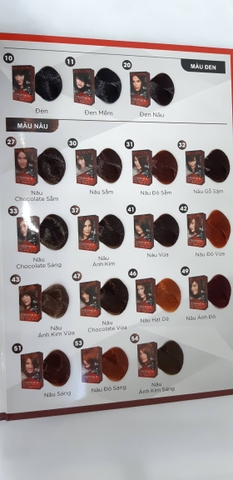 Thuốc nhuộm tóc Revlon ColorSilk