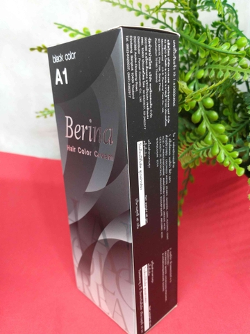 Thuốc nhuộm tóc Berina