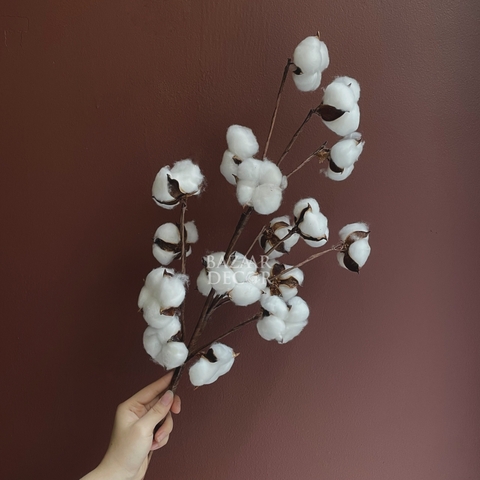 Cành hoa bông gòn khô 18 bông 75cm | Hoa khô cotton