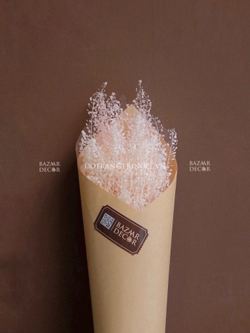 Bó hoa khô cỏ đồng tiền