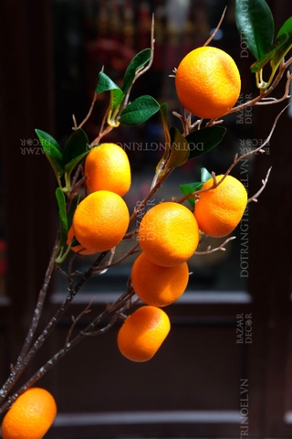 Cành quả quýt trĩu cành 9 quả 80cm