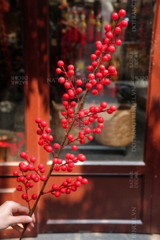 Cành quả berry đông đào đỏ tán thưa 95cm | Loại đẹp