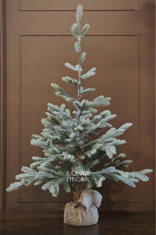 Cây thông tuyết European đỉnh thưa & nhọn - 120cm 150cm