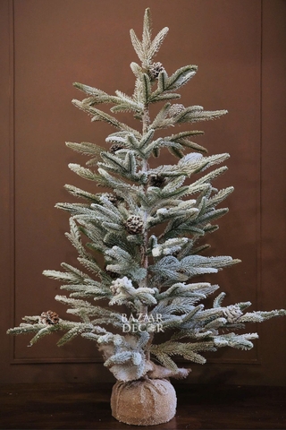Cây thông tuyết Alps tán thưa - 100cm