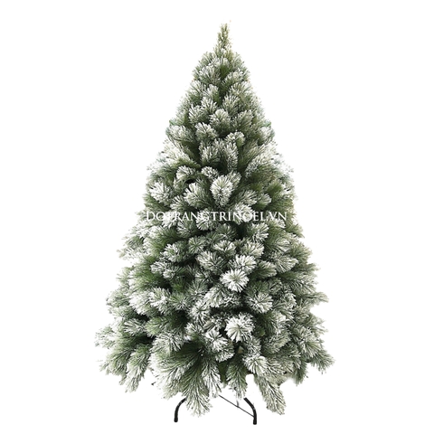 Cây thông tuyết tán dầy - 150cm 200cm 240cm 300cm 360cm