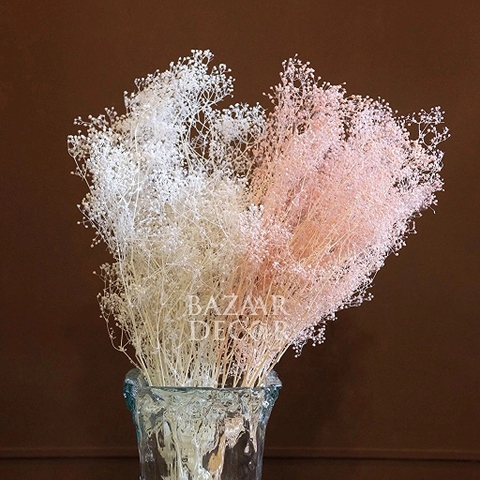 Bó hoa khô baby bloom 45cm - 30-50gr trắng kem