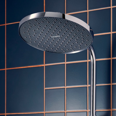 Sen Cây Hansgrohe Activera S 28078000 Nhập Khẩu