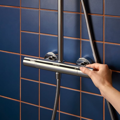 Sen Cây Hansgrohe Activera S 28078000 Nhập Khẩu