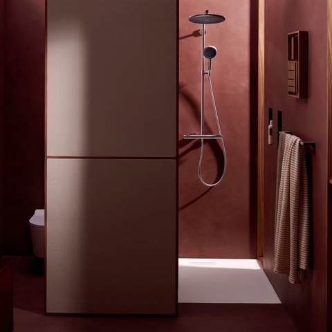 Sen Cây Hansgrohe Raindance Alive S 24592000 Nhập Khẩu