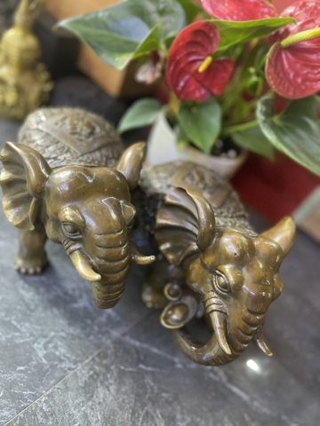 Voi Lưng Tiền lớn 1cặp 16x28x13cm-CN3,3kg