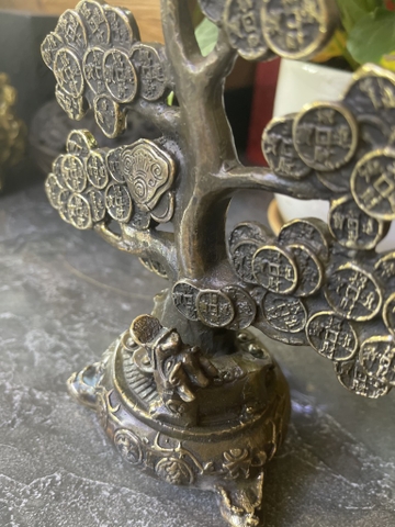 Cây Tiền Dạ Cổ_19cm_Tượng Phong Thủy