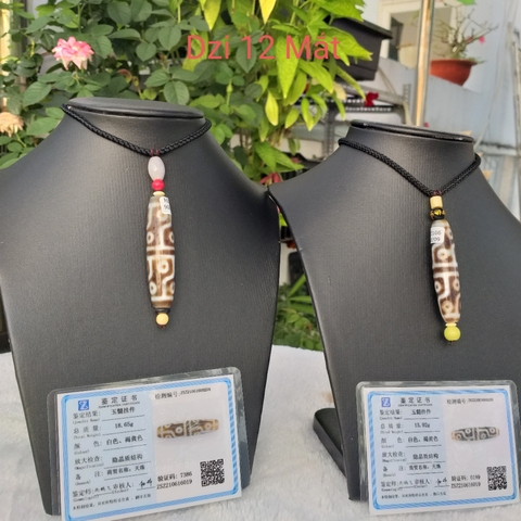 Đá Dzi Vuông _ Tròn 12 Mắt Đen_57x14mm