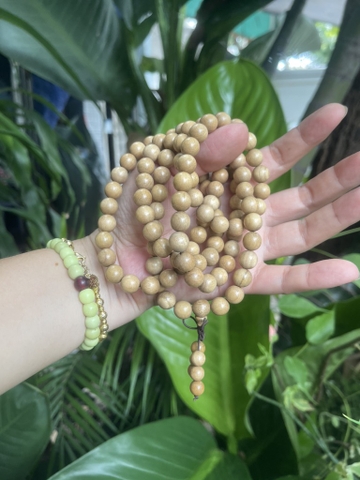 Chuỗi 108 Gỗ Bạch Đàn Hương -10 ly-47gr TKTB-CG1388