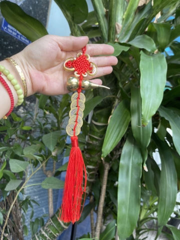 Treo Xe Hồ Lô 5 Đồng Xu- Chiêu Tài-Hoá Sát-Trấn Hướng Xấu- 30x7 cm