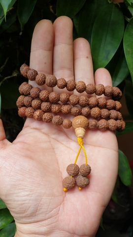 Chuỗi Gỗ Bồ Đề Raktu_ 8-9 Ly_108 Hạt