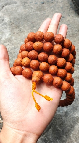 Chuỗi Gỗ Bồ Đề Phật Nhãn_14-15 Ly_108 Hạt