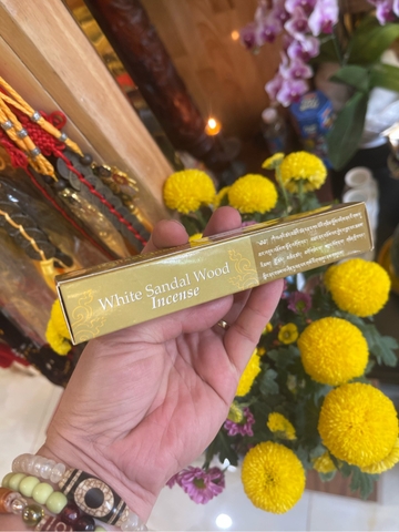 Nhang Không Tăm Nepal_Paljor Healing_14cm_hộp 5 Ống_14 Cây/Ống
