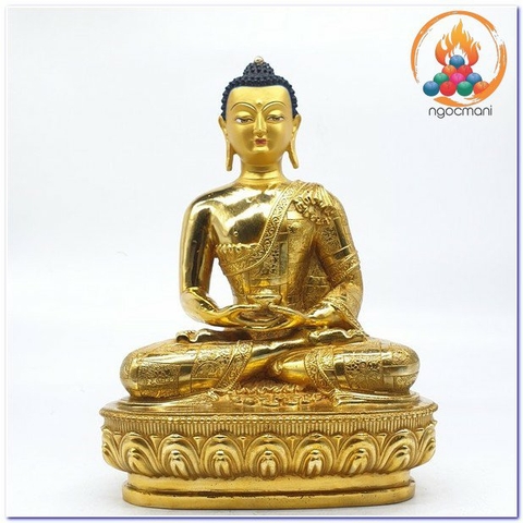 Tôn Tượng Phật A Di Đà Chất Liệu Đồng Vẽ Cao 30cm DL