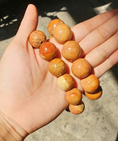 Chuỗi Đá Gỗ Hóa Thạch Đeo Tay_12ly