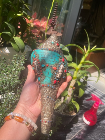 Ốc Pháp Loa Đính Đá Bát Bảo Cát Tường_25cm