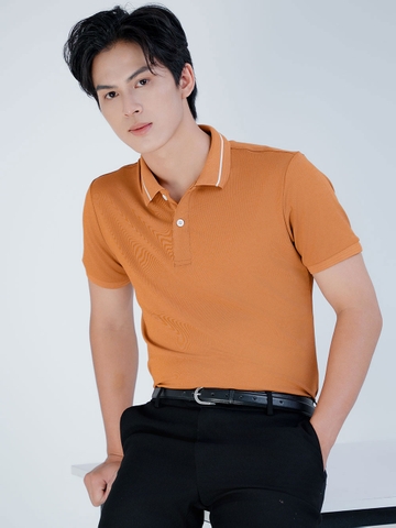 Áo thun PoLo Nam - Cổ Bo Dệt - Màu Nâu- PLK29