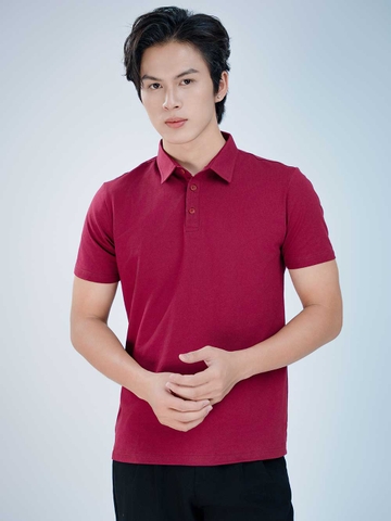 Áo PoLo Nam-Cổ Sơ Mi-Tím Nho-PLM24