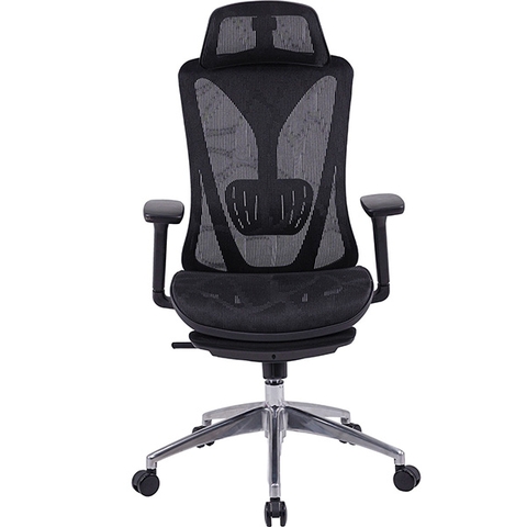 Ghế Công Thái Học GLE15