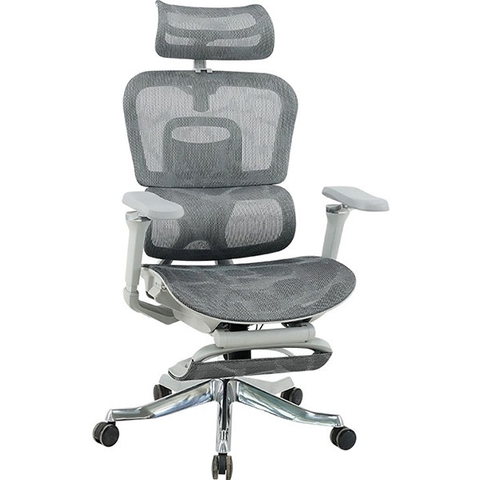 Ghế Công Thái Học GLE22