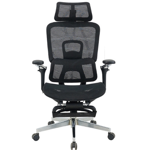 Ghế Công Thái Học GLE25