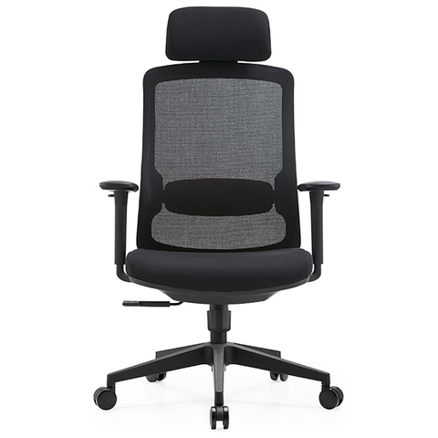 Ghế Lưới DS190A