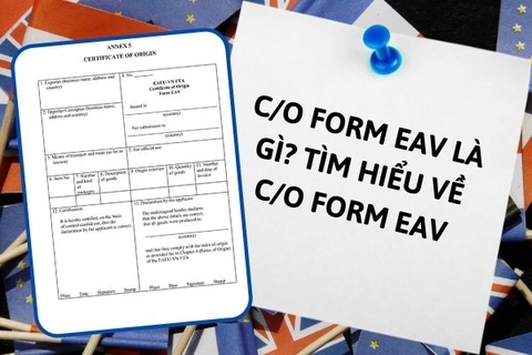 C/O form EAV là gì? Tìm hiểu về C/O form EAV