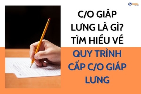 CO giáp lưng là gì? Tìm hiểu về quy trình cấp C/O giáp lưng!