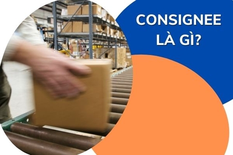 Consignee là gì? Phân biệt shipper-consignee và seller-buyer