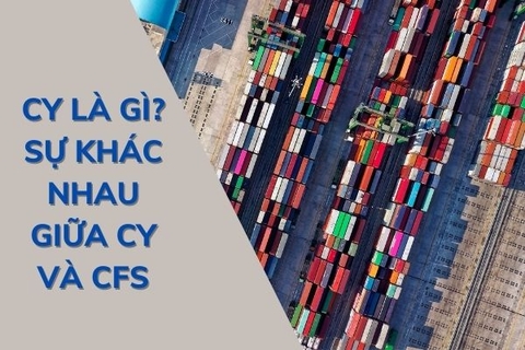 Cy là gì? Sự khác nhau giữa CY và CFS