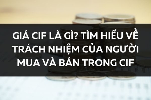 Giá CIF là gì? Tìm hiểu về trách nhiệm của người mua và bán trong CIF