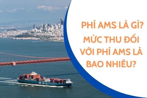 Phí AMS là gì? Mức thu đối với phí AMS là bao nhiêu?