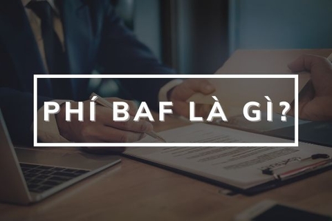 BAF là phí gì? Tìm hiểu về phí BAF trong hoạt động xuất nhập khẩu