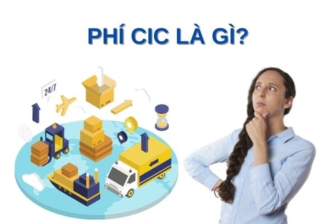 Phí CIC là gì? Bên nào sẽ phải chịu việc trả phí CIC?