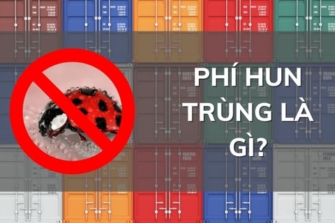 Phí hun trùng là gì? Tìm hiểu về hun trùng hàng hóa nhập khẩu