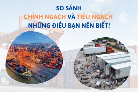 So sánh chính ngạch và tiểu ngạch? Nên lựa chọn phương án nào tốt nhất?