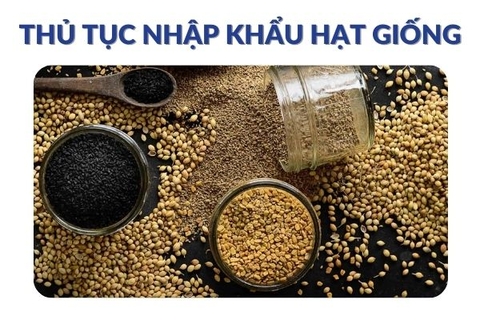 Thủ tục nhập khẩu hạt giống